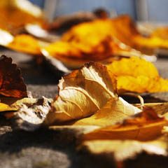 网页攻击器教程